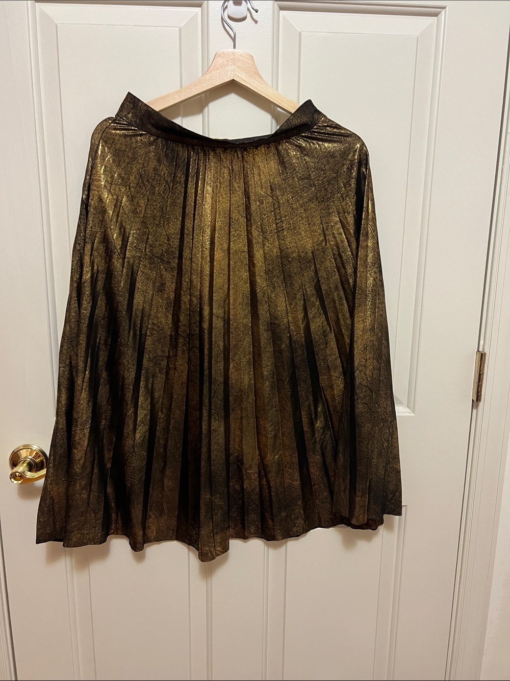 Zara Metallic Gold Pleated Circle Skirt